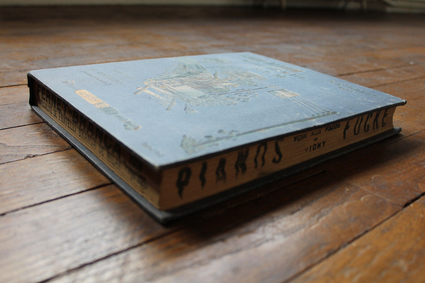 GUIDE ALBUM des Chemins de Fer PLM XXme Année 1908