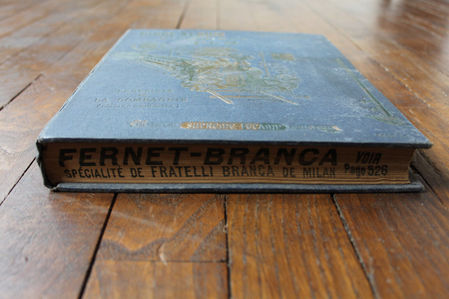 GUIDE ALBUM des Chemins de Fer PLM XXme Année 1908