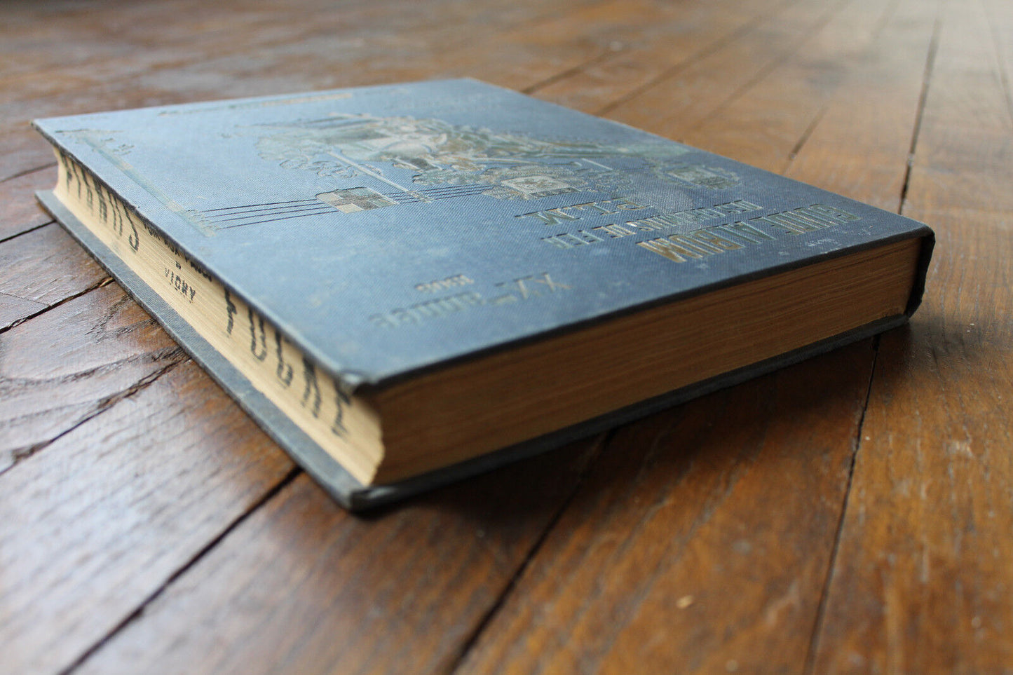 GUIDE ALBUM des Chemins de Fer PLM XXme Année 1908