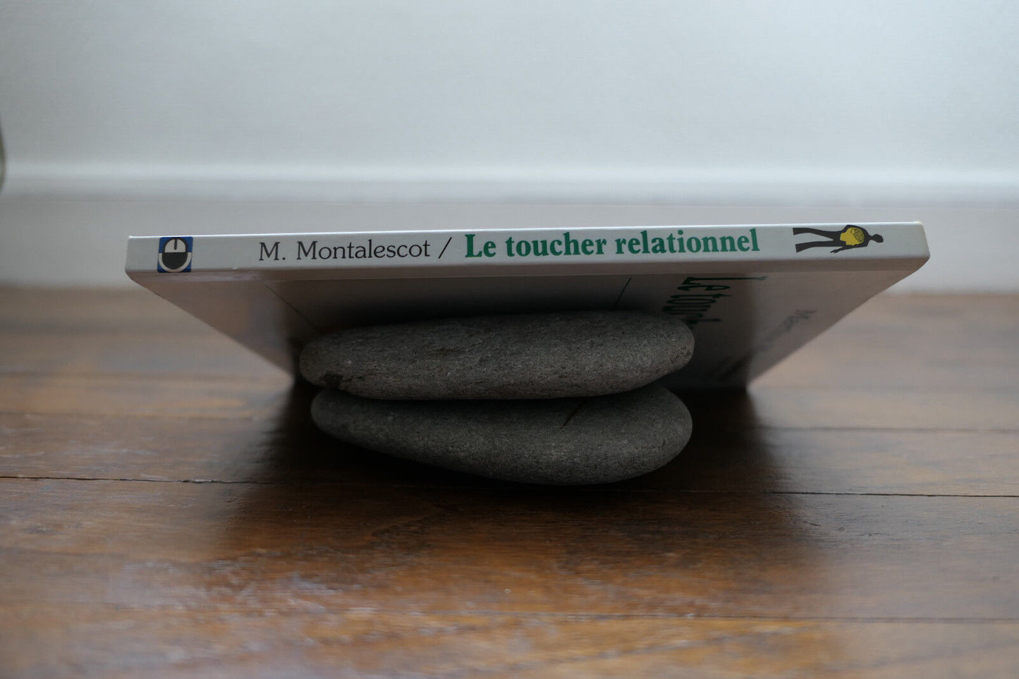 LE TOUCHER RELATIONNEL MARTINE MONTALESCOT 1999 SANTE