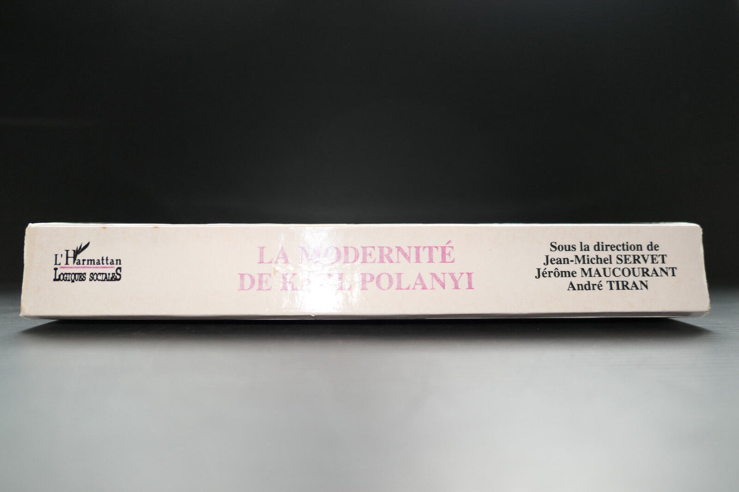 LA MODERNITE DE KARL POLANYI LOGIQUES SOCIALES L'HARMATTAN 2000