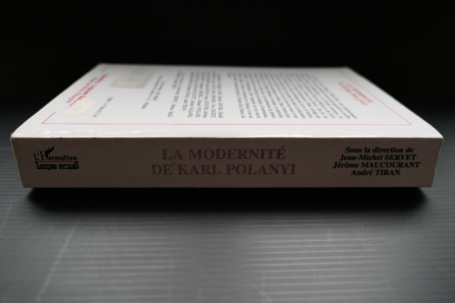 LA MODERNITE DE KARL POLANYI LOGIQUES SOCIALES L'HARMATTAN 2000