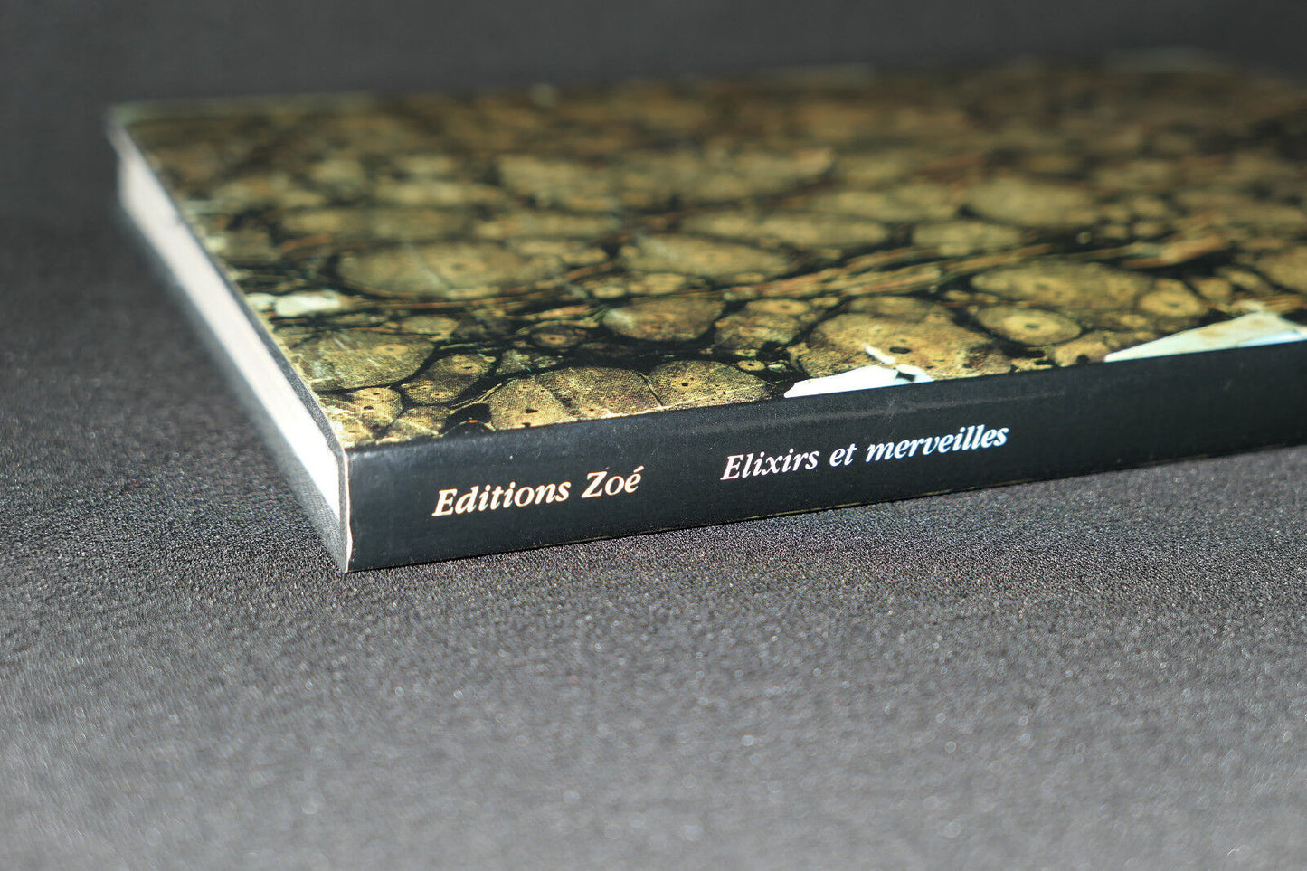 ELIXIRS ET MERVEILLES LUCIE BOLENS 1984 CUISINE BOURGEOISE SUISSE XVIIIe