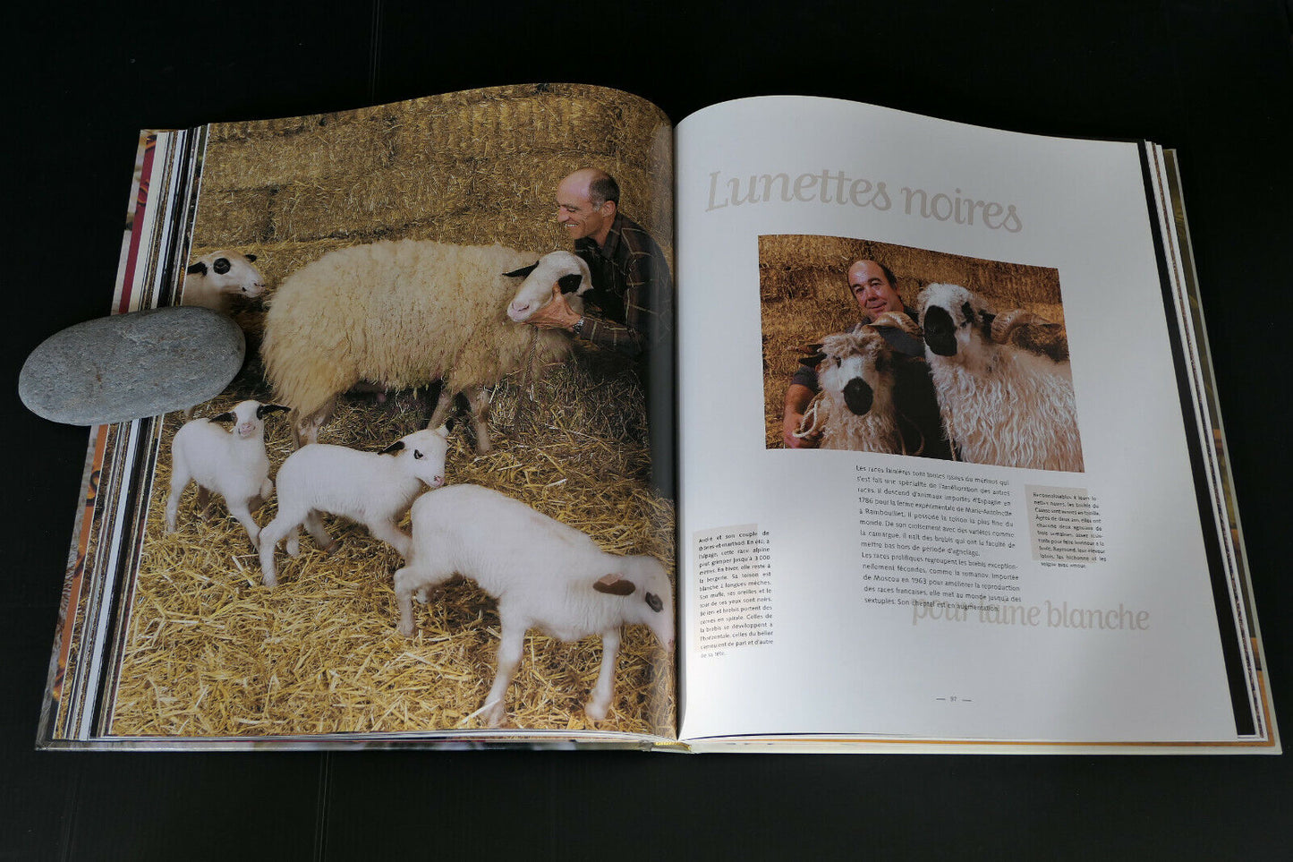 LE LIVRE OFFICIEL DU SALON DE L'AGRICULTURE LA PLUS GRANDE FERME DE FRANCE 2008