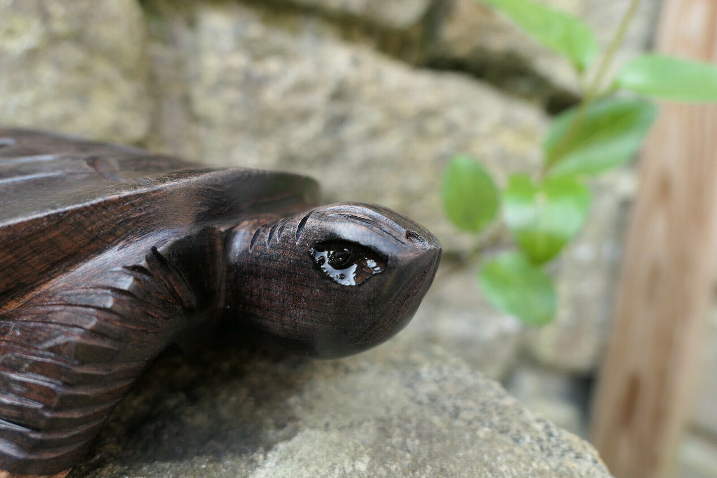 TORTUE EN BOIS SCULPTE 17 CM