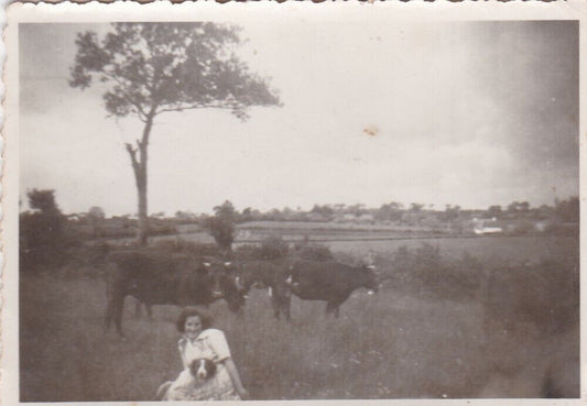 PHOTO VINTAGE SNAPSHOT ANONYME FEMME CAMPAGNE VACHES CHIEN