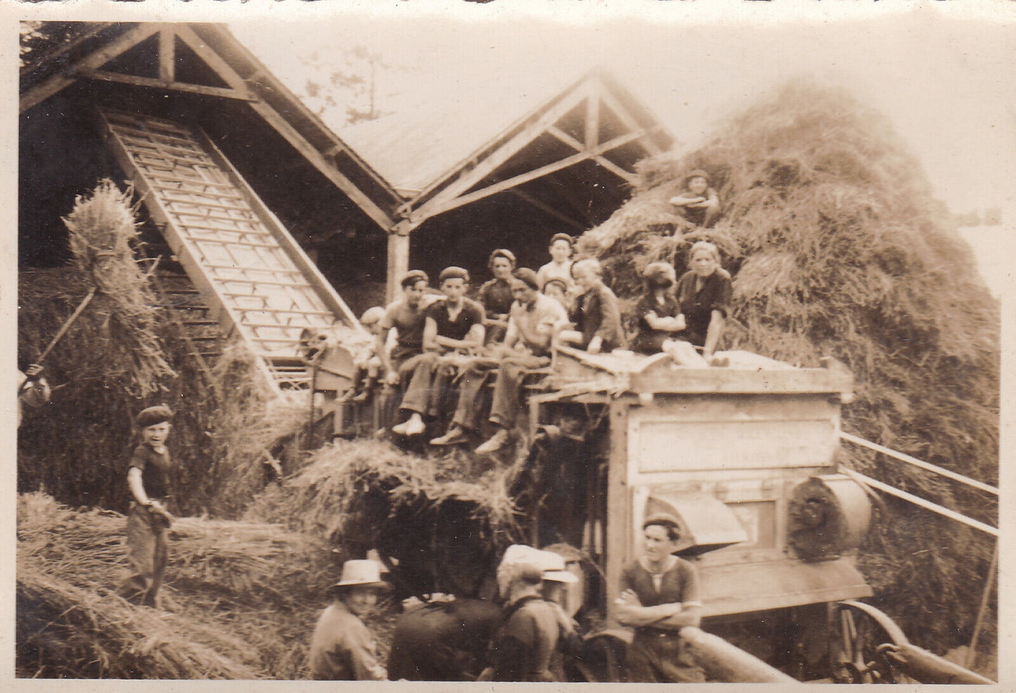 VINTAGE SNAPSHOT PHOTO ANONYMOUS AGRICULTURE GROUP PEASANTS WORK HAY