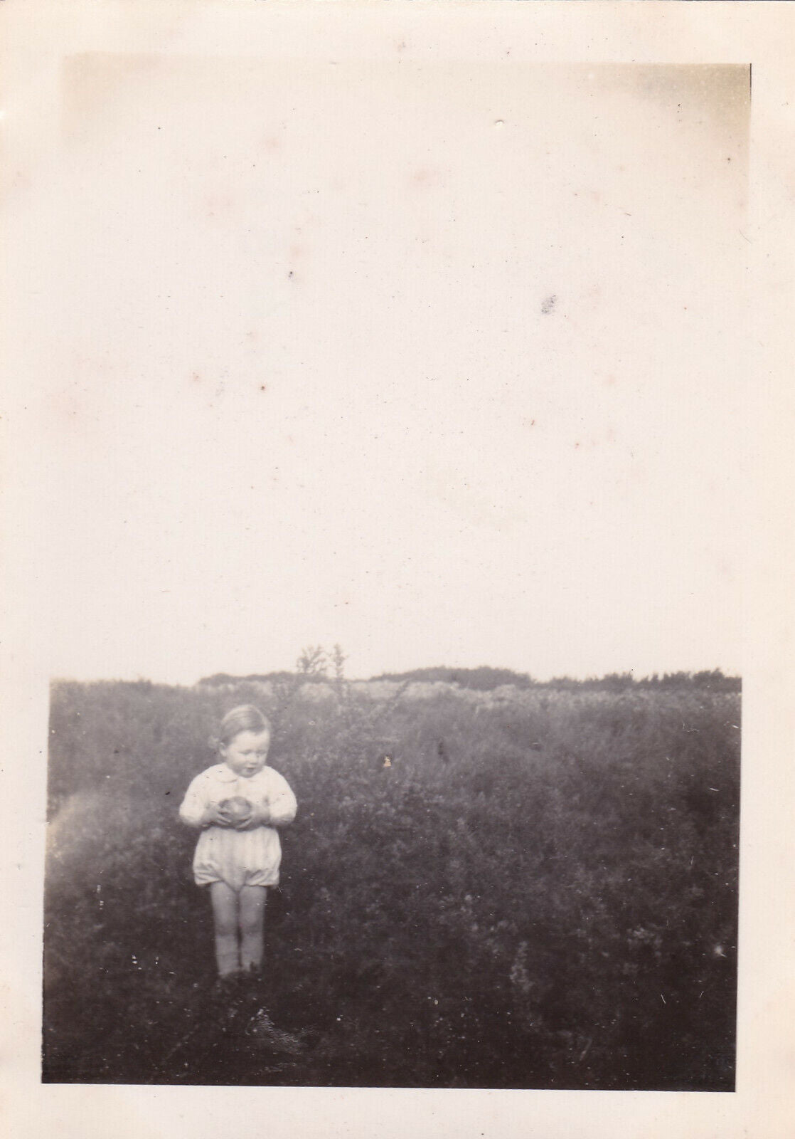 VINTAGE SNAPSHOT PHOTO 1945 ENFANT BEBE CHILD BABY JARDIN GARDEN CHIEN LOT X6