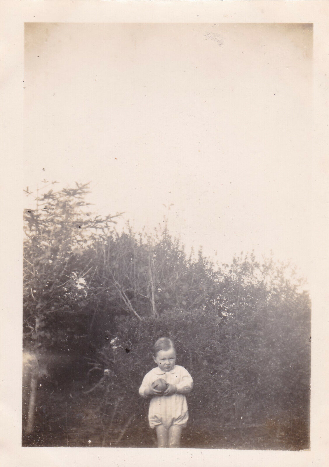 VINTAGE SNAPSHOT PHOTO 1945 ENFANT BEBE CHILD BABY JARDIN GARDEN CHIEN LOT X6