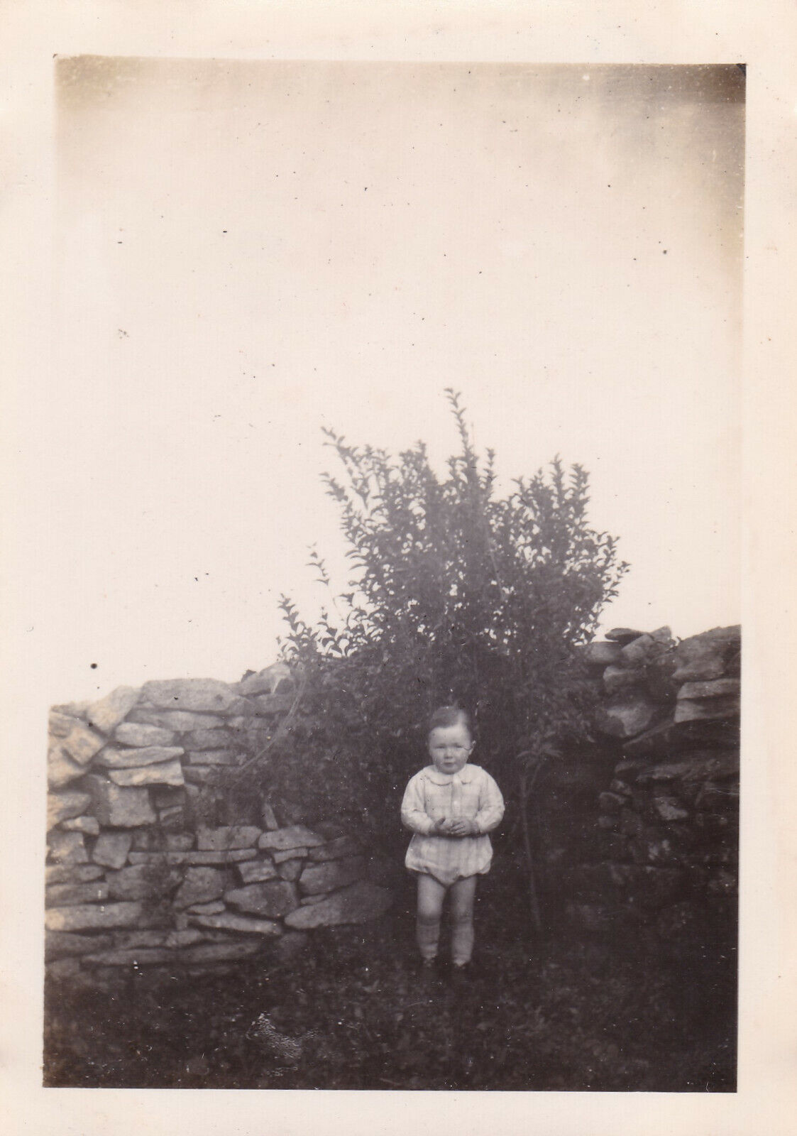 VINTAGE SNAPSHOT PHOTO 1945 ENFANT BEBE CHILD BABY JARDIN GARDEN CHIEN LOT X6