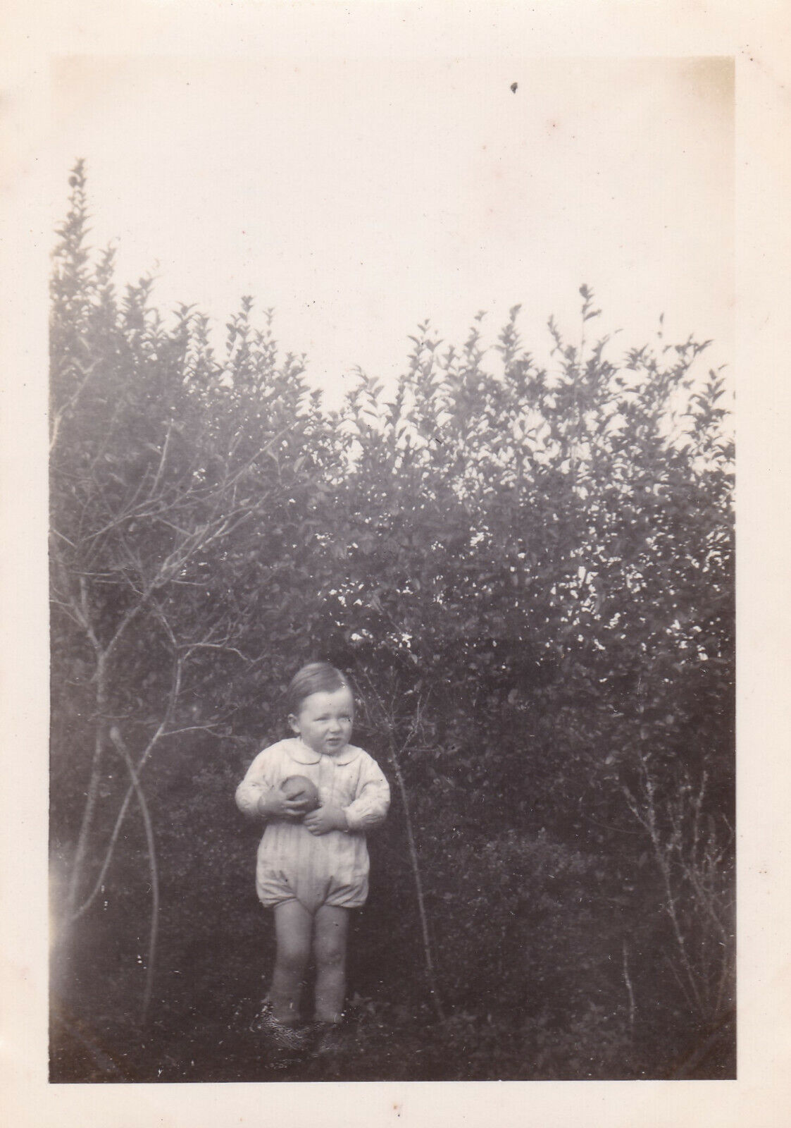 VINTAGE SNAPSHOT PHOTO 1945 ENFANT BEBE CHILD BABY JARDIN GARDEN CHIEN LOT X6