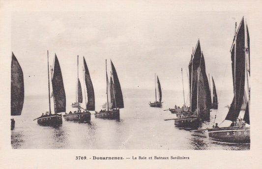 CPA 29 DOUARNENEZ / LA BAIE ET BATEAUX SARDINIERS