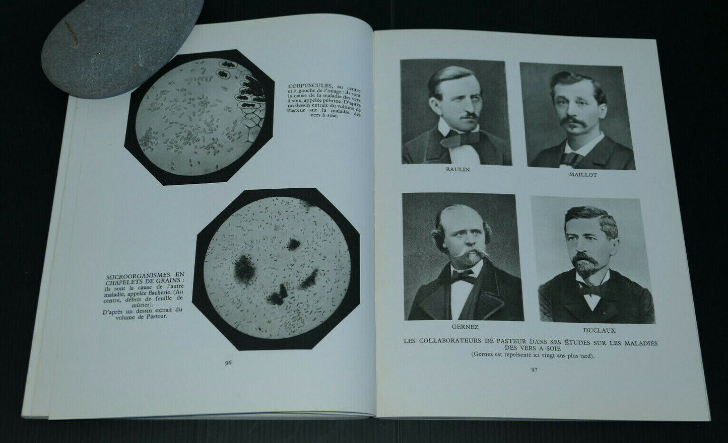 IMAGES DE LA VIE ET DE L'OEUVRE DE PASTEUR / PASTEUR VALLERY-RADOT / 1956