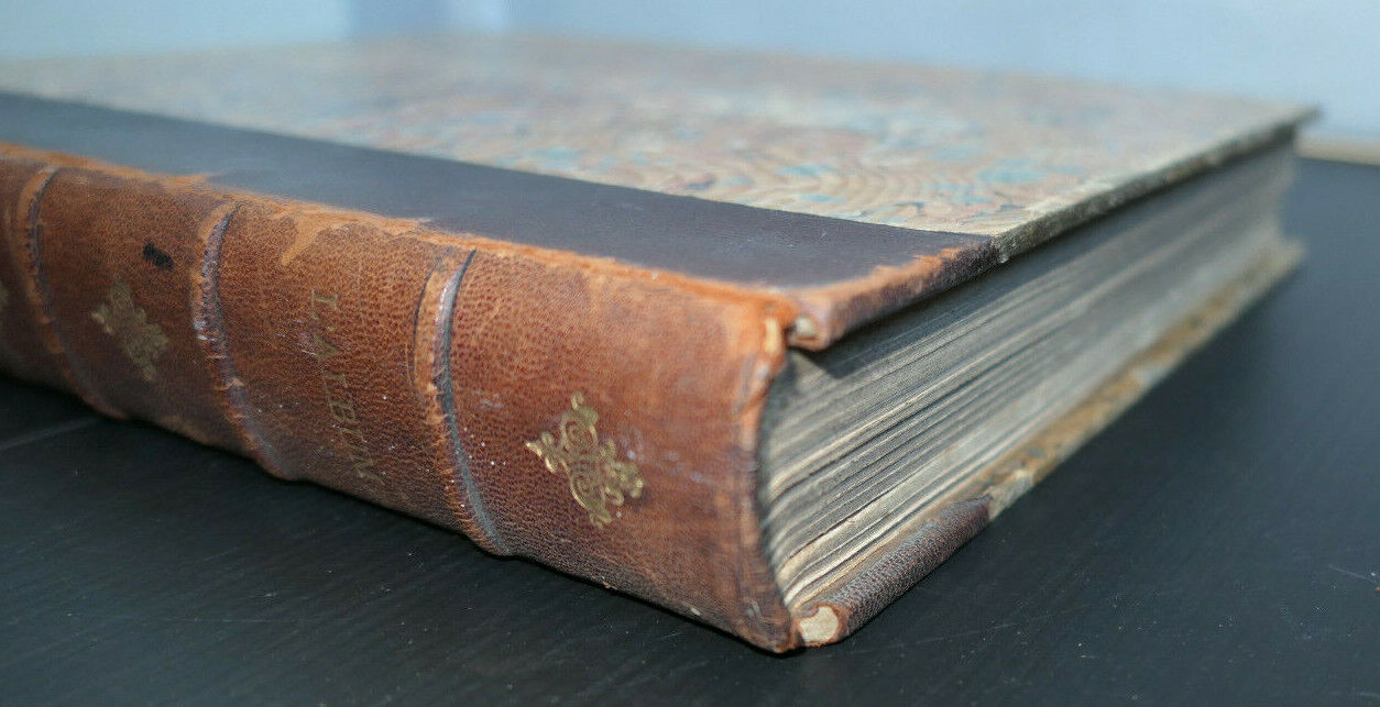 L'ALBUM / RELIURE DE 15 NUMEROS 1901-1902 + ALBUM FORAIN (TALMEYR)