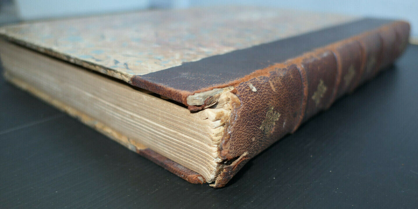 L'ALBUM / RELIURE DE 15 NUMEROS 1901-1902 + ALBUM FORAIN (TALMEYR)