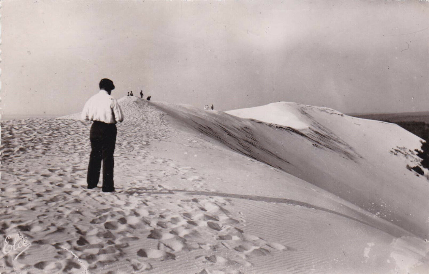 CARTE POSTALE CPSM NOIR ET BLANC / DUNE DU PILAT BASSIN D'ARCACHON