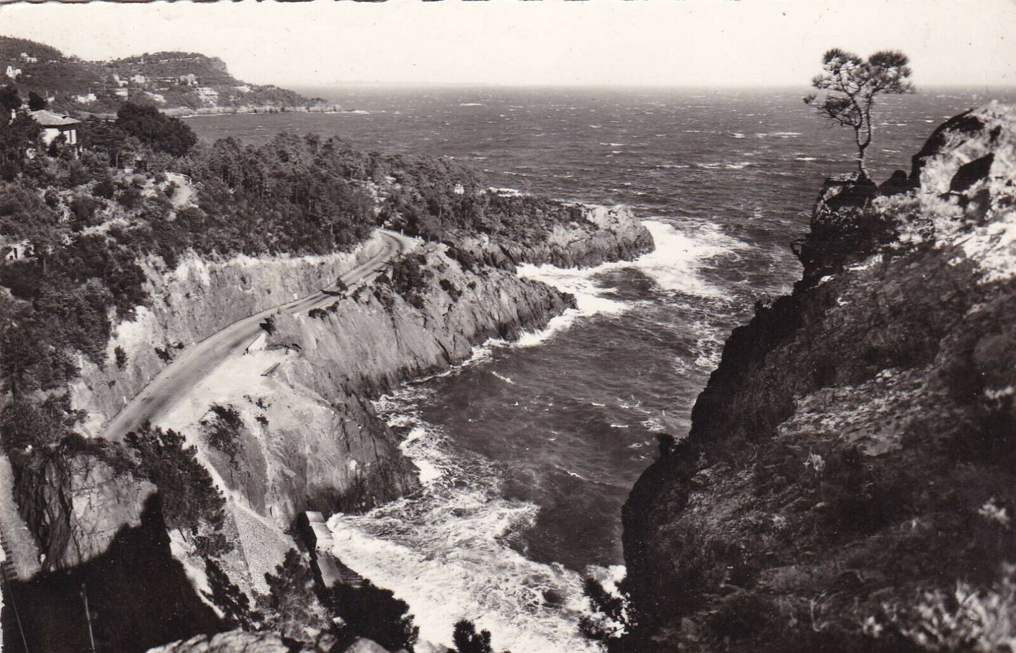 CPSM BLACK AND WHITE POSTCARD / CLIFFS OF THE CORNICHE D'OR ANTHEOR (1960)