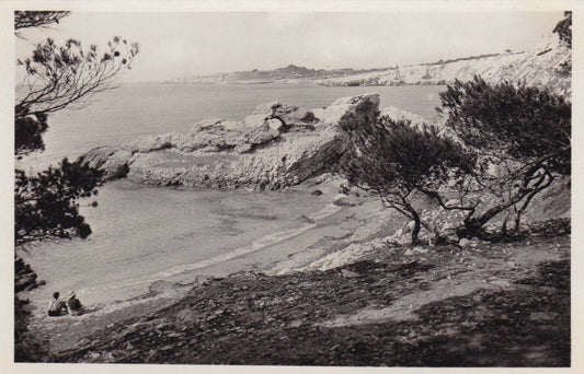 LOT DE 3 CARTES POSTALES ANCIENNES CPA NOIR & BLANC / SAUSSET-LES-PINS