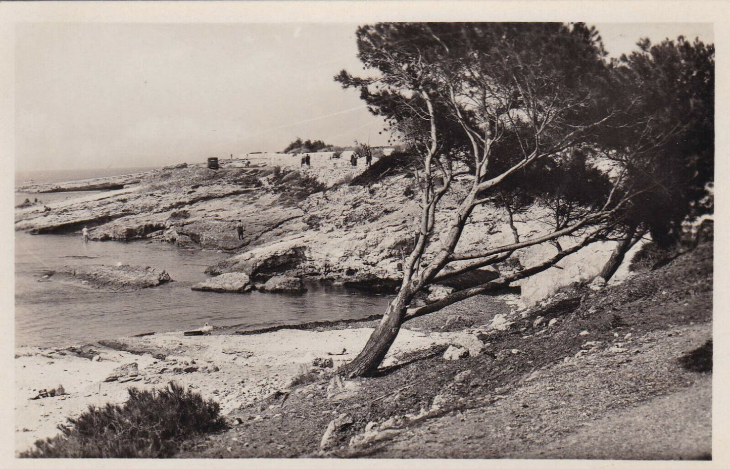 SET OF 3 OLD BLACK & WHITE CPA POSTCARDS / SAUSSET-LES-PINS