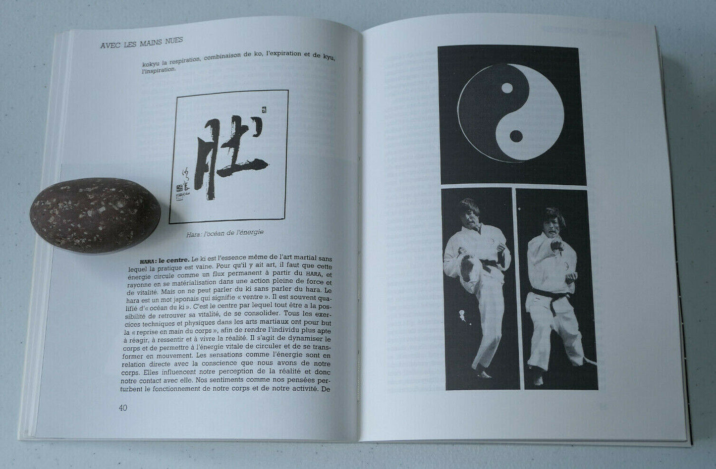 AVEC LES MAINS NUES L'ESPRIT ET LE GESTE DANS LES ARTS MARTIAUX / J.-N. ORTEGA