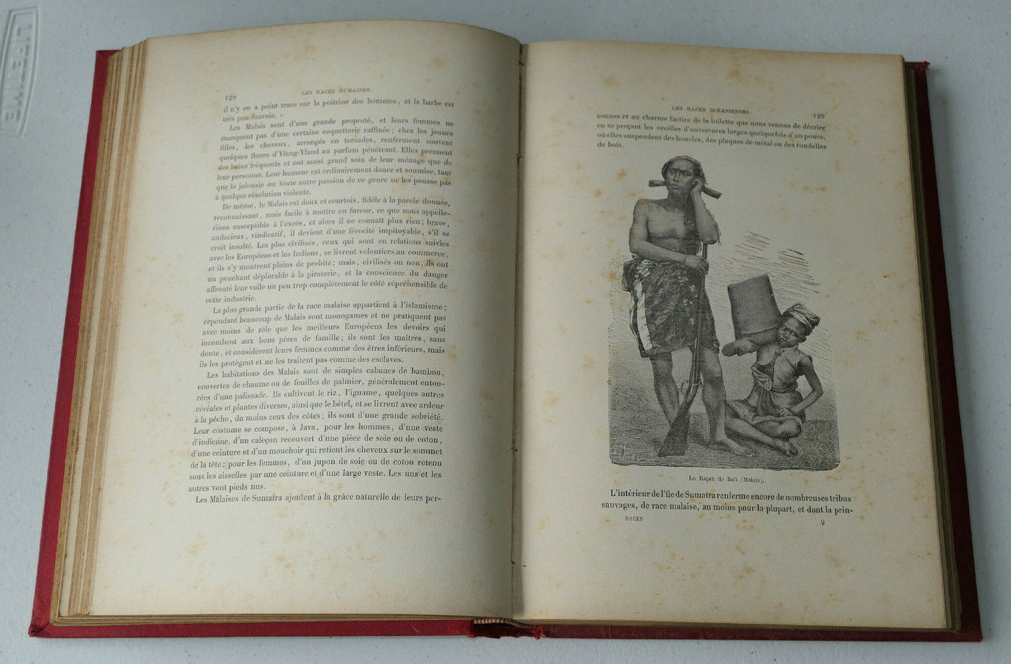 LES RACES HUMAINES / A. BITARD / MEGARD 1886 / RELIURE SIGNEE LANDRE