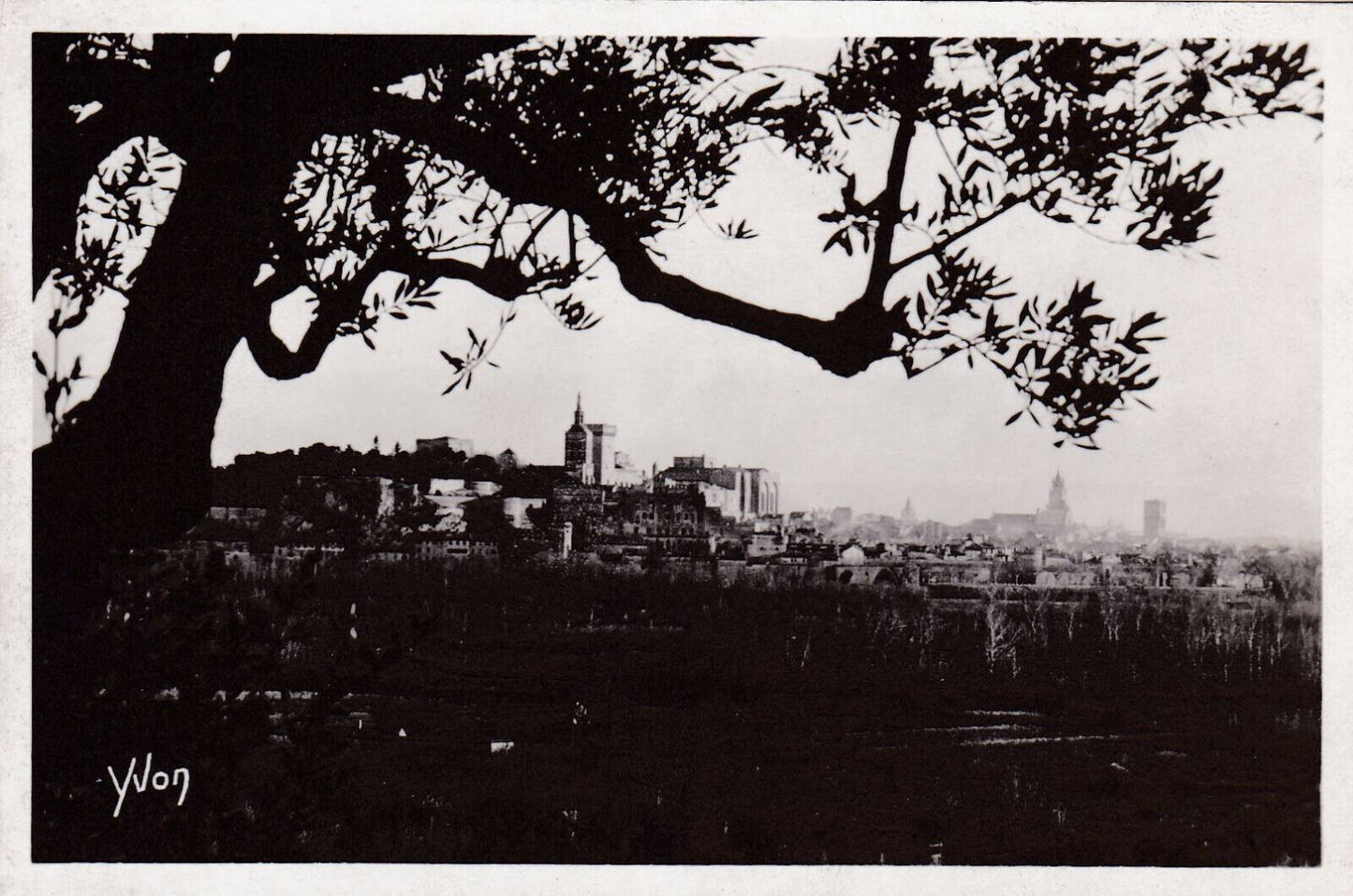 CARTE POSTALE ANCIENNE CPA / AVIGNON LA VILLE VUE A TRAVERS LES OLIVIERS