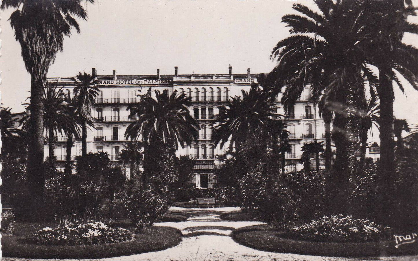CARTE POSTALE CPSM NOIR & BLANC / HYERES-LES-PALMIERS HOTEL DES PALMIERS VAR