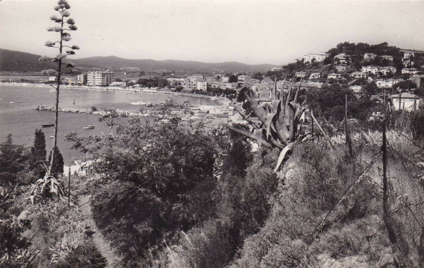 CARTE POSTALE CPSM NOIR & BLANC / LE LAVANDOU VUE GENERALE CORNICHE DES MAURES