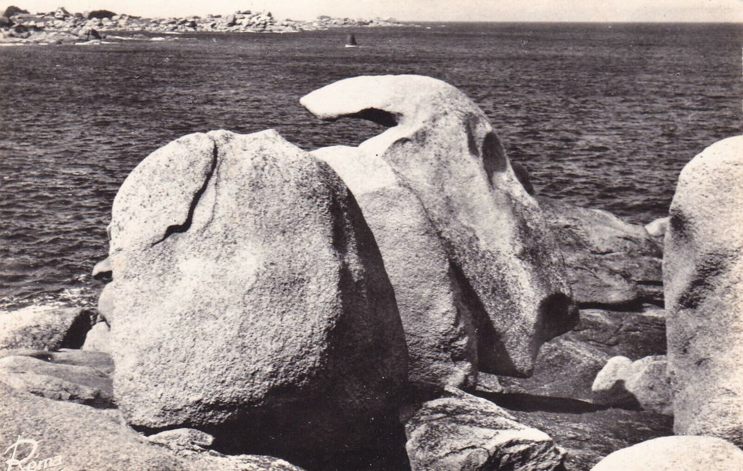 CARTE POSTALE CPSM NOIR & BLANC / PLOUMANAC'H LE LAPIN