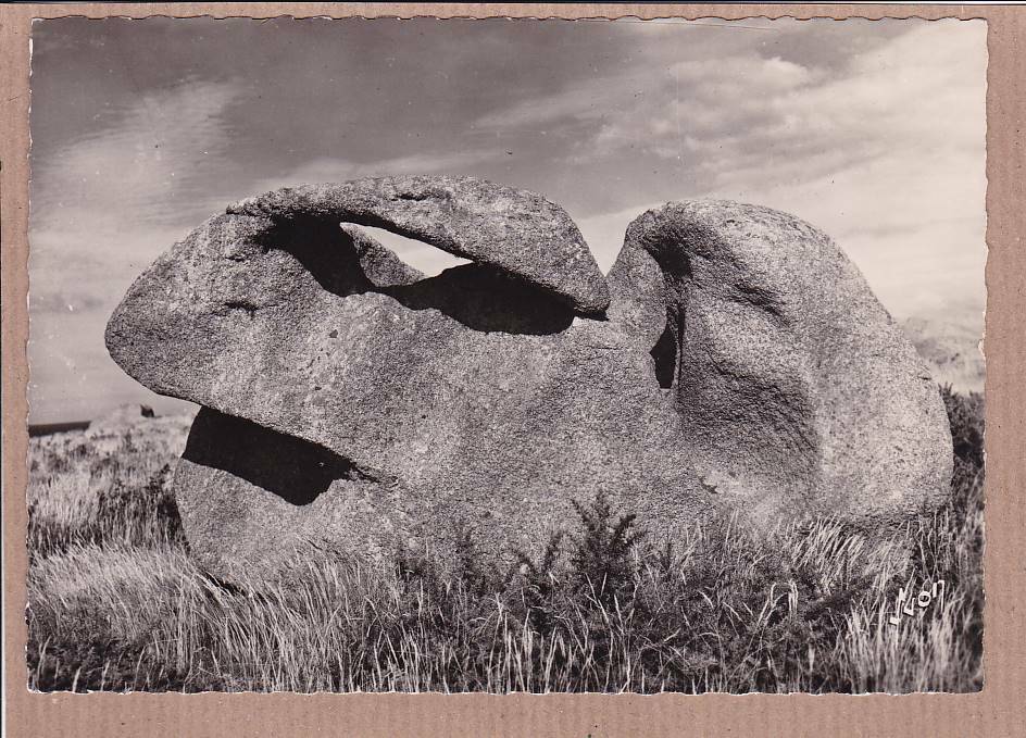 CPSM BLACK & WHITE POSTCARD / PLOUMANAC'H EN PERROS GUIREC THE RABBIT