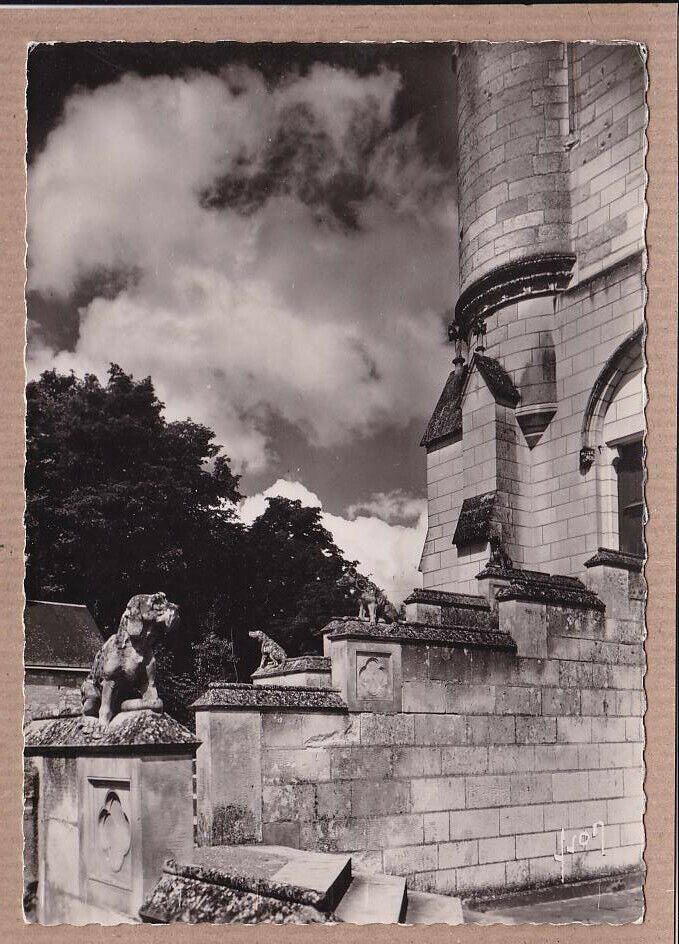 CPSM BLACK & WHITE POSTCARD / LOCHES ROYAL PALACE GUARD DOGS