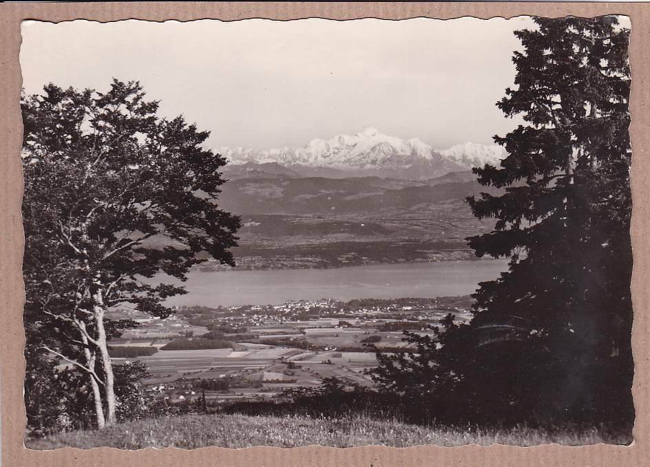 CPSM BLACK & WHITE POSTCARD / LAKE LEMAN MONT-BLANC SEEN FROM THE COL DE LA FAUCILLE