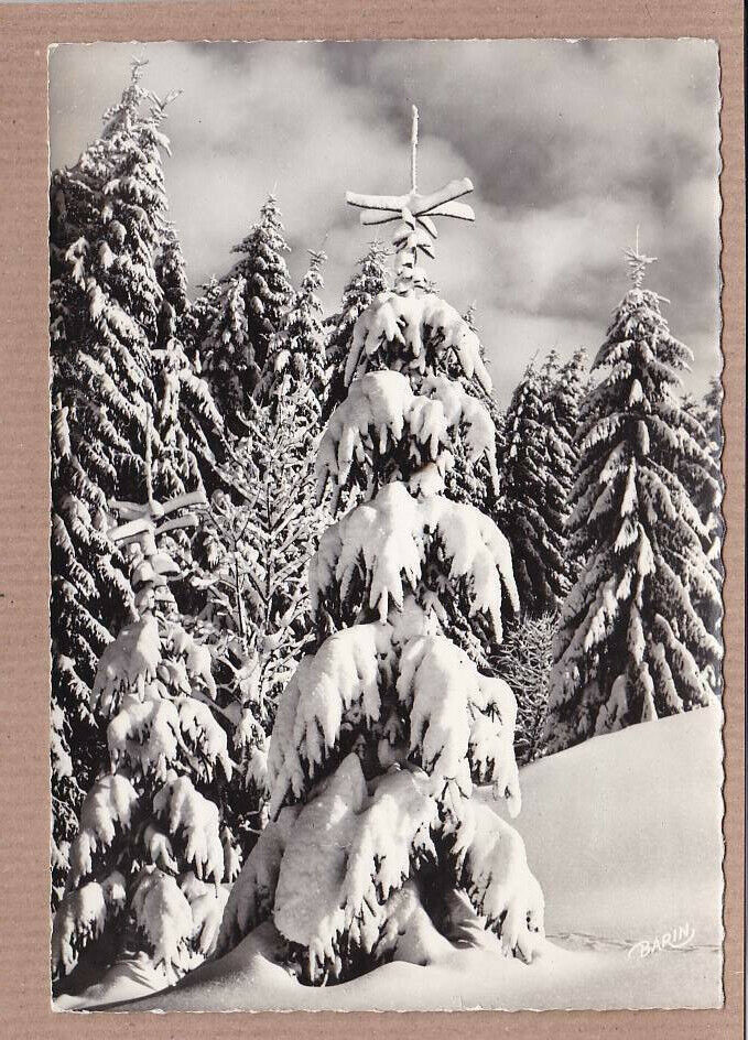 CPSM BLACK & WHITE POSTCARD / GERARDMER FIR TREES IN WINTER