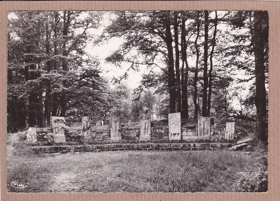 CARTE POSTALE CPSM NOIR & BLANC / LE DONON STELES FOUILLES (1954)