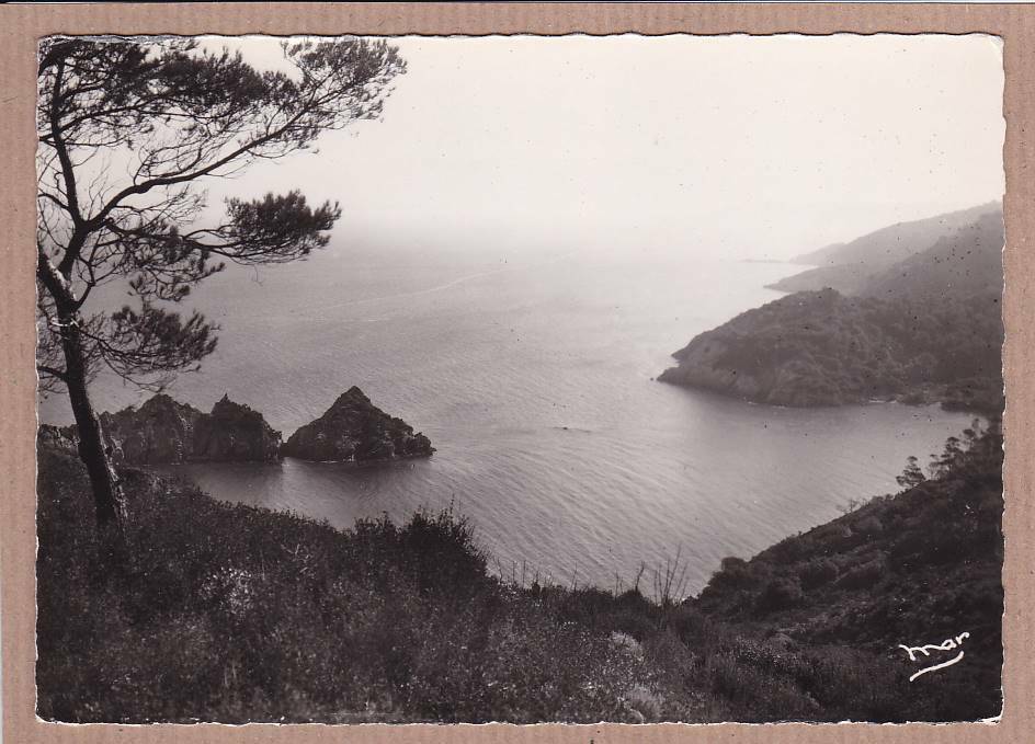 CARTE POSTALE CPSM NOIR & BLANC / PORT-CROS VUE PRISE DE LA VIGIE VAR