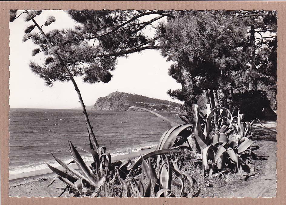 CARTE POSTALE CPSM NOIR & BLANC / PRAMOUSQUIER VILLAGE DE VACANCES DU T.C.F.