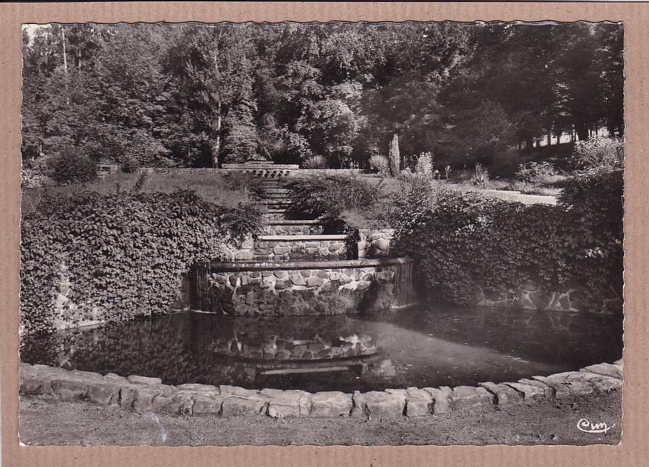 CPSM BLACK & WHITE POSTCARD / PLOMBIERES THE PARK WATERFALL