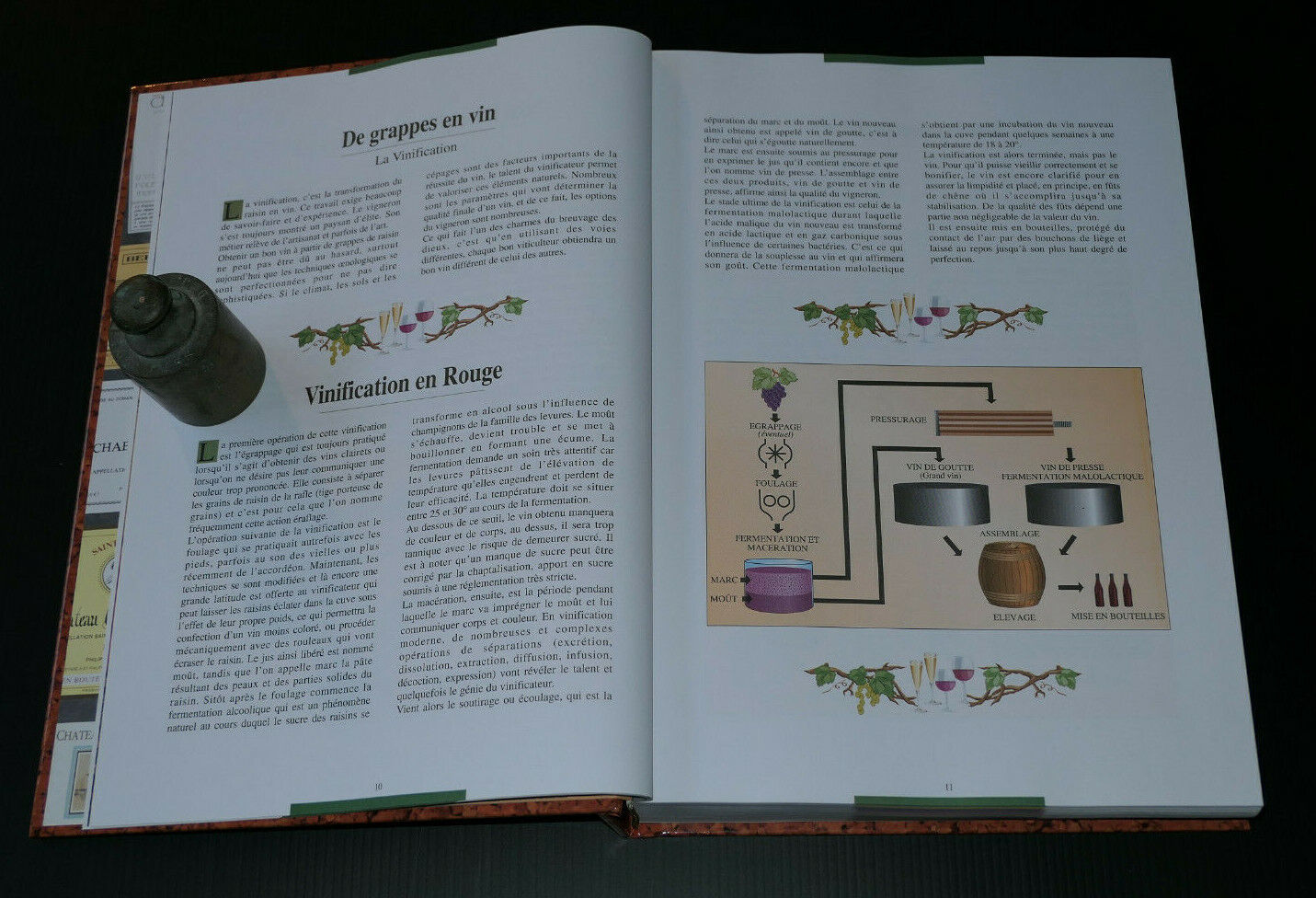 TOUT SAVOIR SUR LE VIN / OENOLOGIE / COMPTOIR DU LIVRE 1994