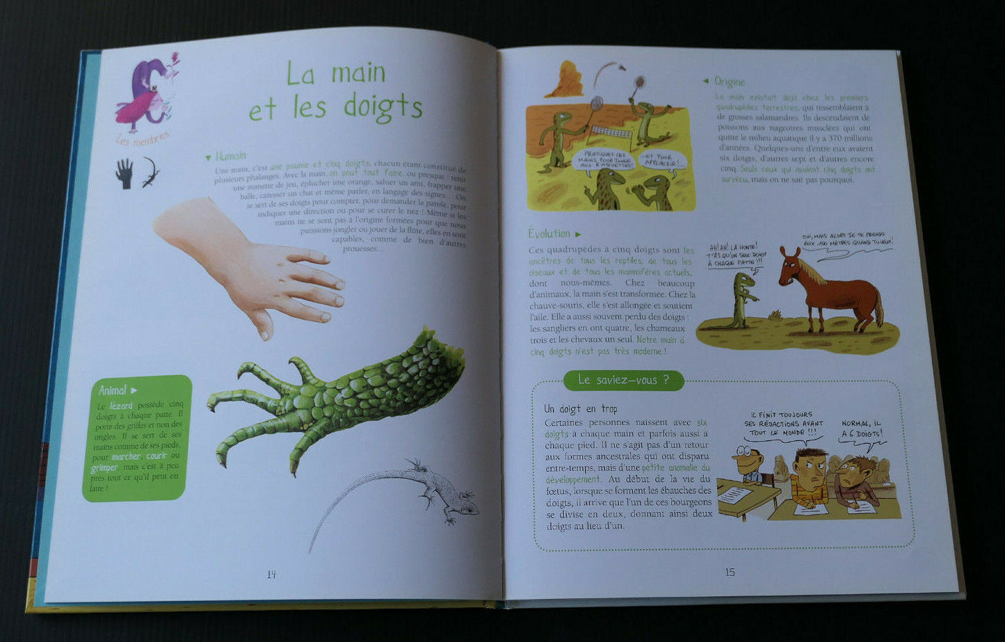 HUMANIMAL NOTRE ZOO INTERIEUR / GULF STREAM 2010