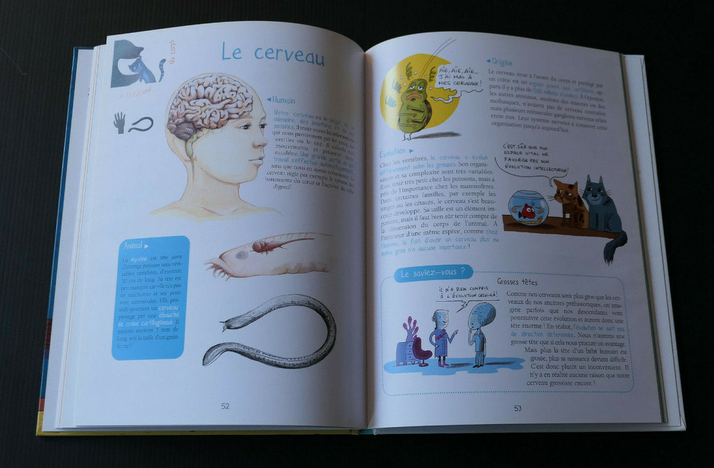 HUMANIMAL NOTRE ZOO INTERIEUR / GULF STREAM 2010