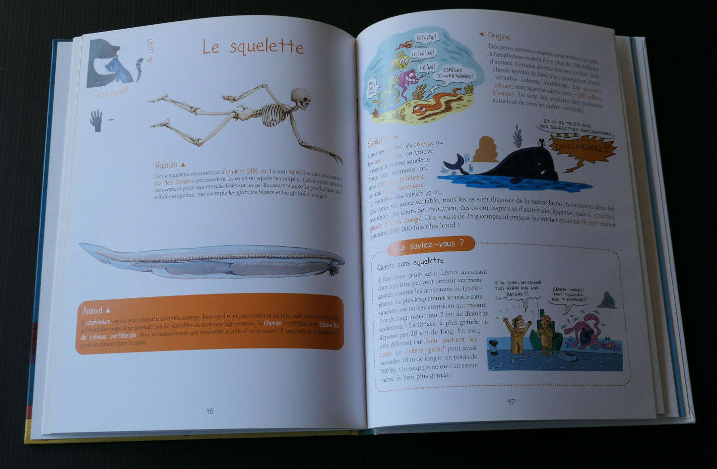 HUMANIMAL NOTRE ZOO INTERIEUR / GULF STREAM 2010