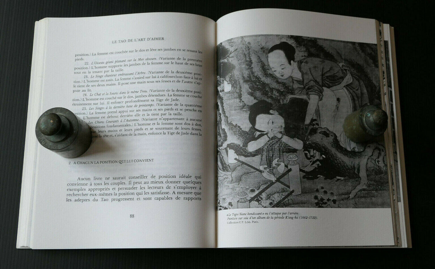 LE TAO DE L'ART D'AIMER / JOLAN CHANG / SEXUALITE THERAPIE TAOISME / 1992