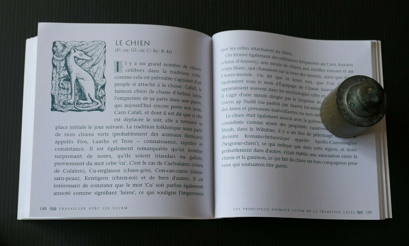 ANIMAUX TOTEMS CELTES / JOHN MATTHEWS / CHAMANISME / EDITIONS VEGA 2015