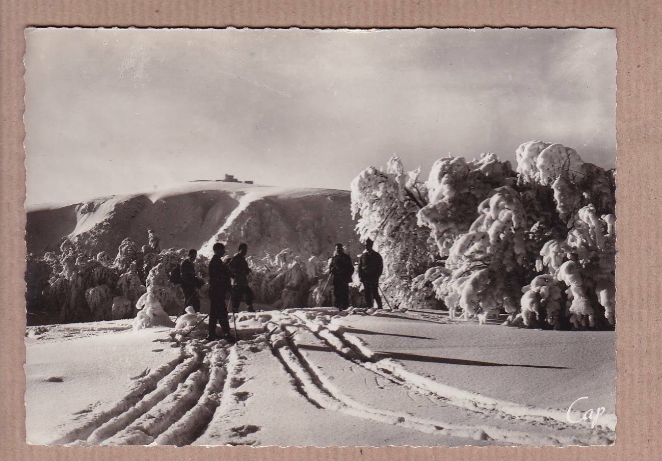 CPSM BLACK & WHITE POSTCARD / THE VOSGES IN WINTER IN THE BACKGROUND THE HOHNECK