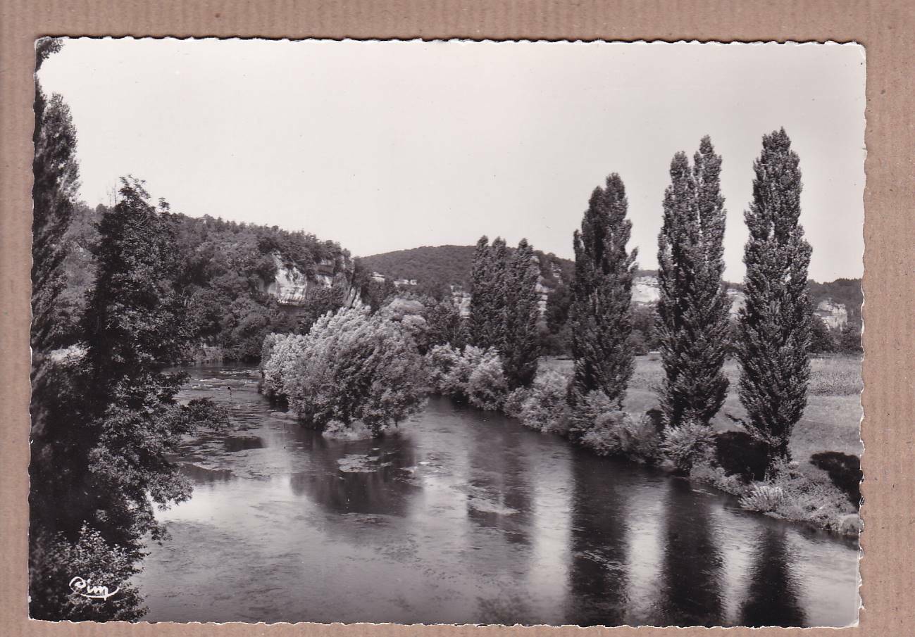 CPSM BLACK & WHITE POSTCARD / LES EYZIES-DE-TAYAC LA VEZERE CLIFFS