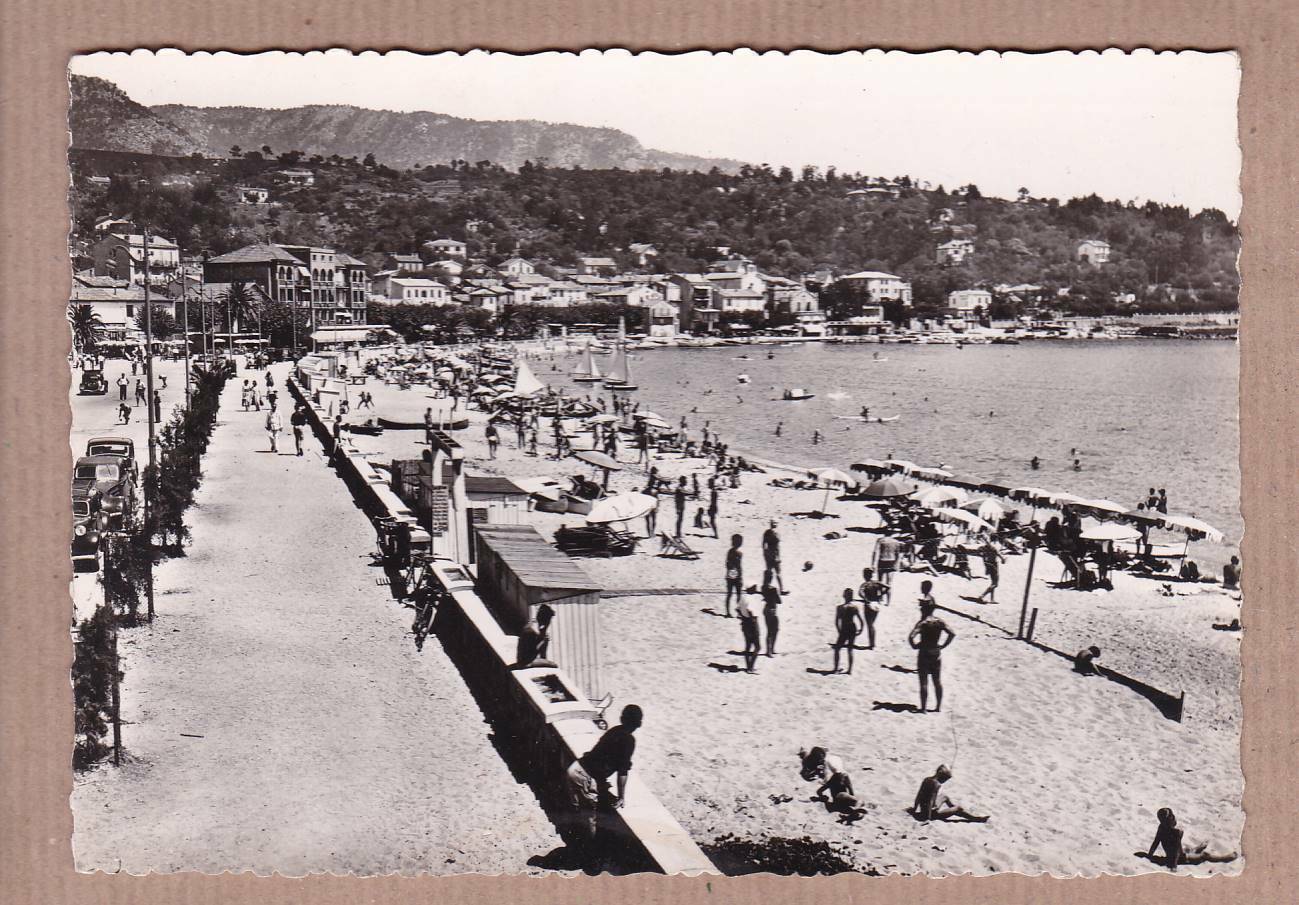CARTE POSTALE CPSM NOIR & BLANC / CORNICHE DES MAURES LE LAVANDOU BOULEVARD