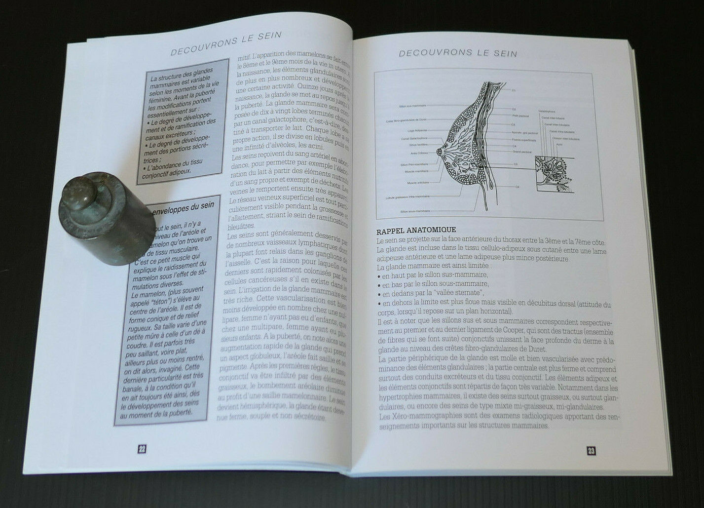 JOLIS SEINS VOTRE ATOUT BEAUTE / CATHERINE TINGHERIAN / SANTE ESTHETIQUE 1995