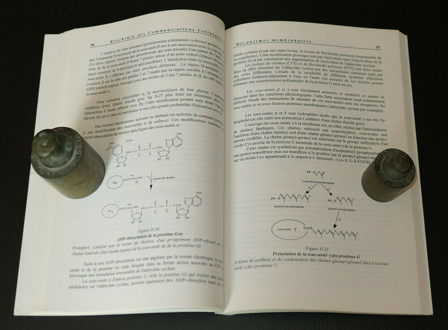 BIOCHIMIE DES COMMUNICATIONS CELLULAIRES / YVES COMBARNOUS / SCIENCE 1996
