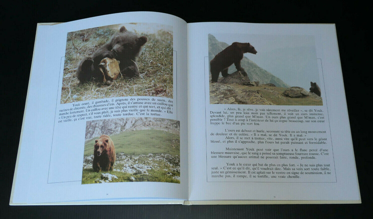 L'OURS / DANIELE HEYMANN / JEAN-JACQUES ANNAUD / MARIANNE ROSENSTIEHL / 1988