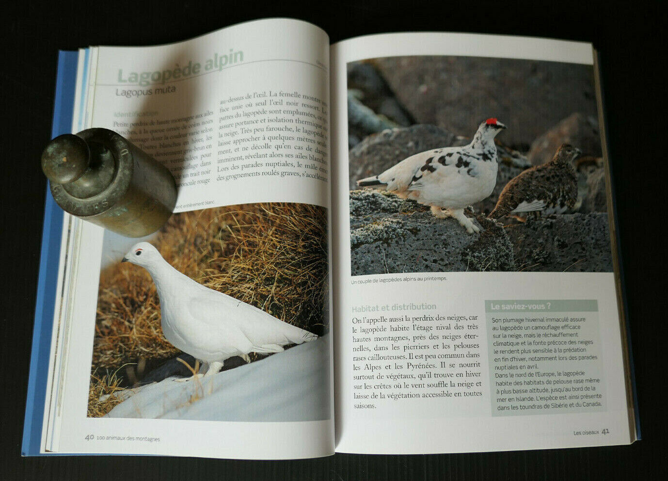100 ANIMAUX DES MONTAGNES / GUIDE DECOUVERTE FAUNE ESPECES OISEAUX INSECTES 2014